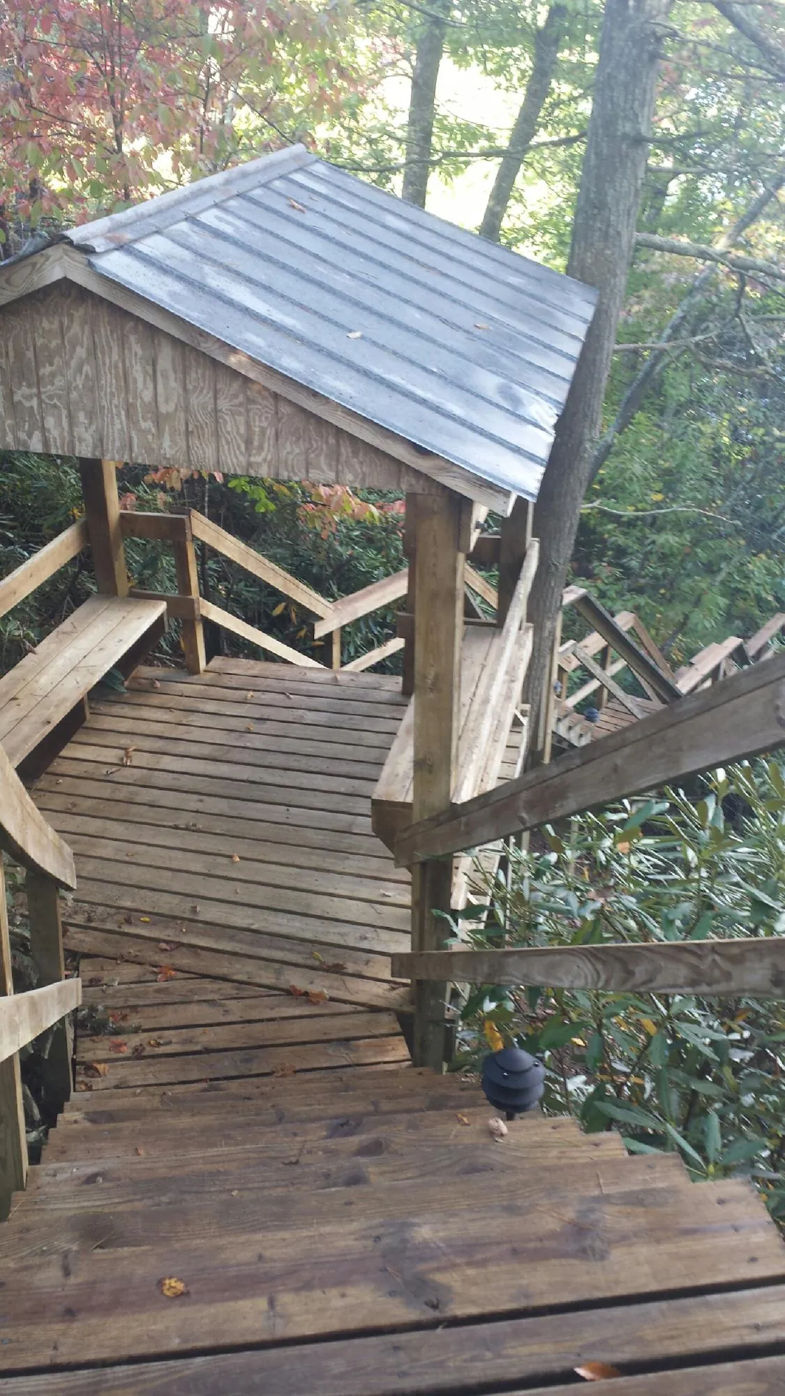 Metal roofed shelter over wooden steps on a wooded walkway — Skylight Repair & Installation work by our crew in Godley